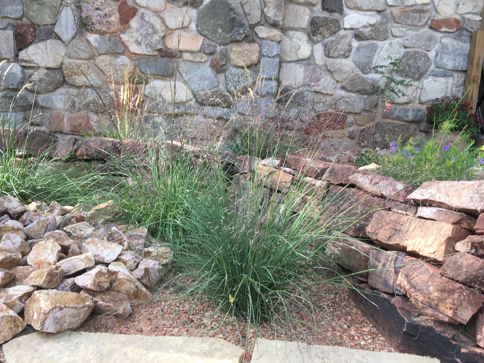 Professional Landscaping Tijeras